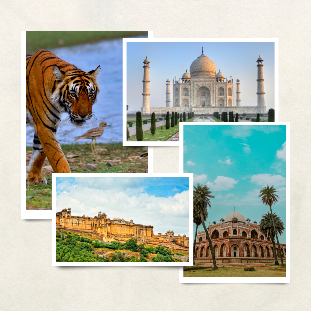 Collage Golden triangle tour