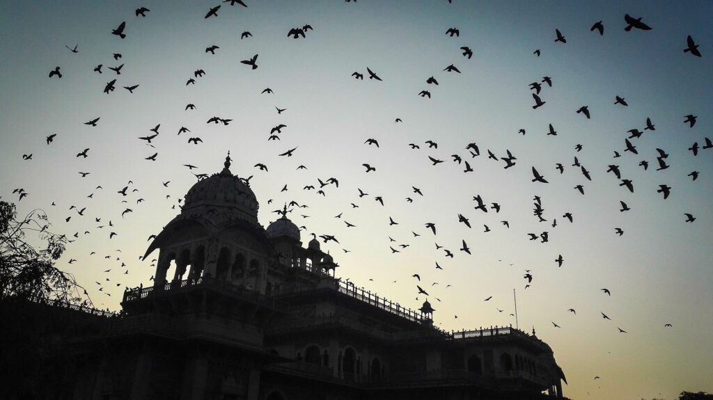 Jaipur tour
